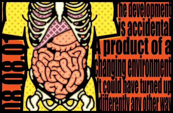 Digestive system of society