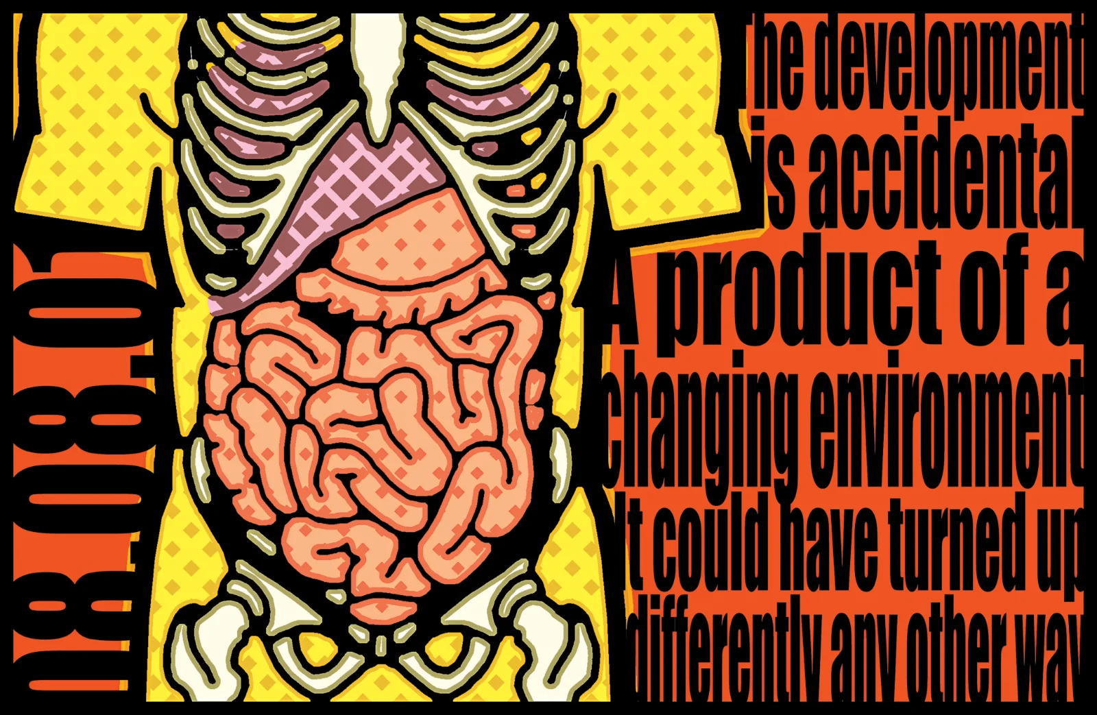 Digestive system of society