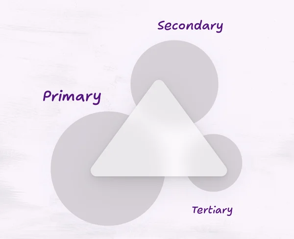 This diagram shows a triangle labeled “Target Audience” at the center, surrounded by three overlapping circles labeled “Primary,” “Secondary,” and “Tertiary.”
